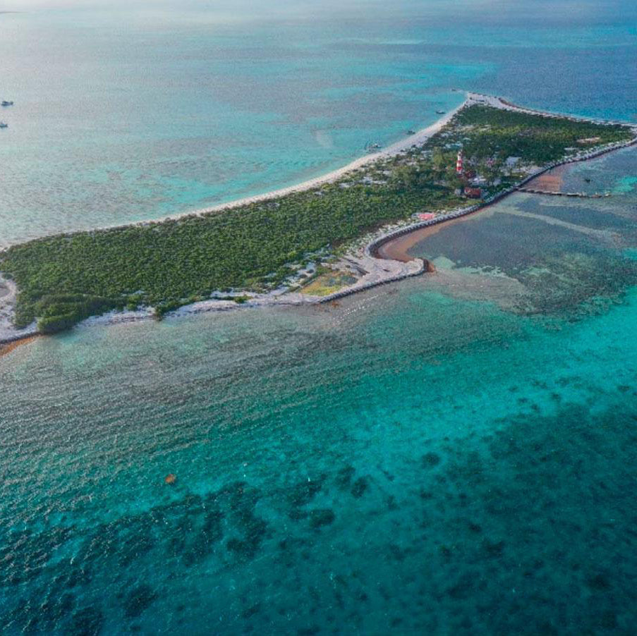 Alacranes Reef Experience