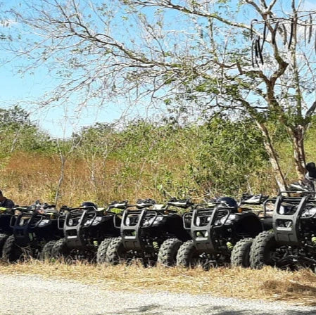 Cenotes and ATVs in Dzitnup