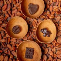 Caricoa artisanal chocolate