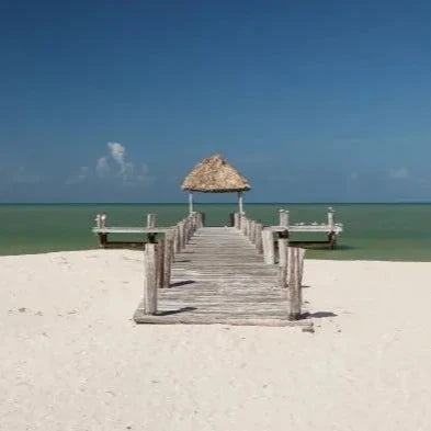 Biking through Celestún