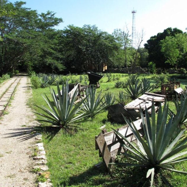 Cenotes and Haciendas ATV Tour