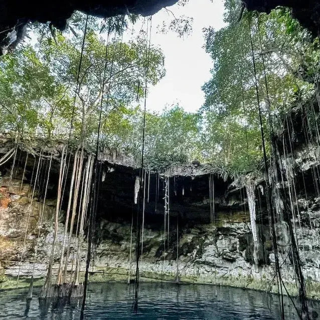 Secreto Maya Cenote