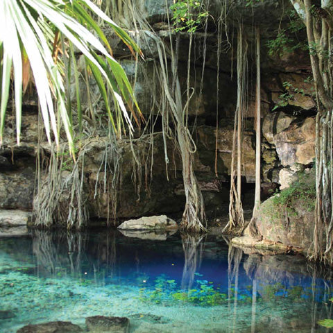 Xbatun Cenote
