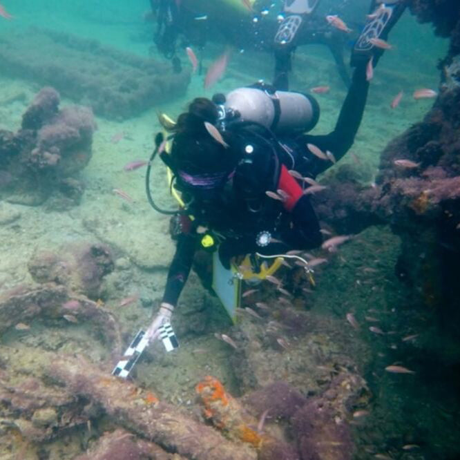 Snorkel en barco hundido