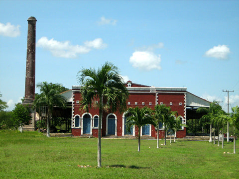 Haciendas in the Cuzamá Area