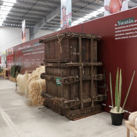 Henequen Living Museum