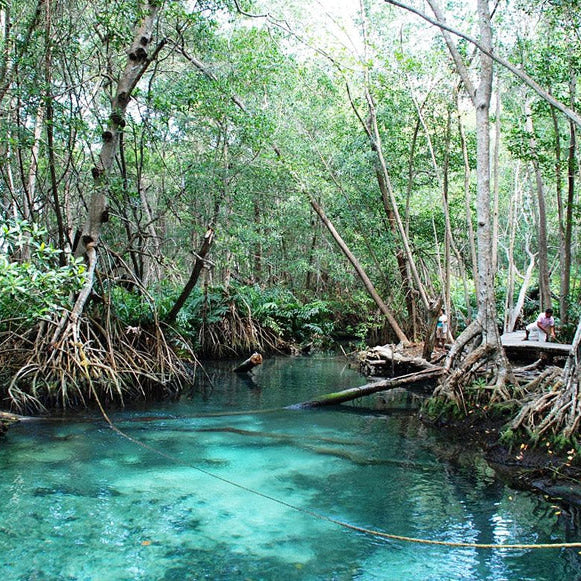 Jaltún Ecotourism Park