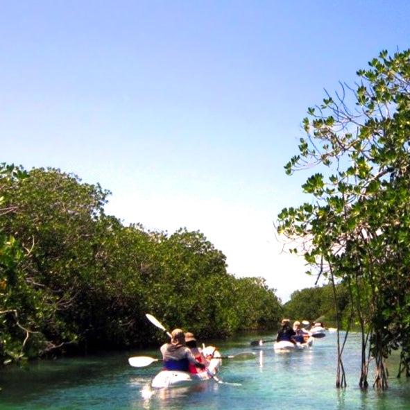 Kayaking in Chuburná River