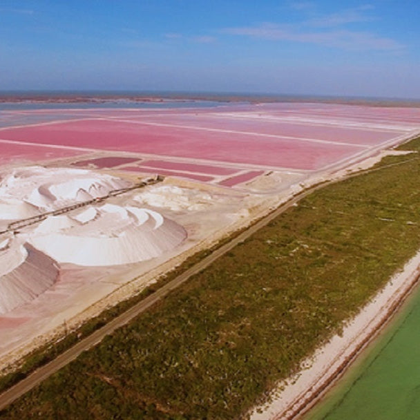Tour 2 Las Coloradas