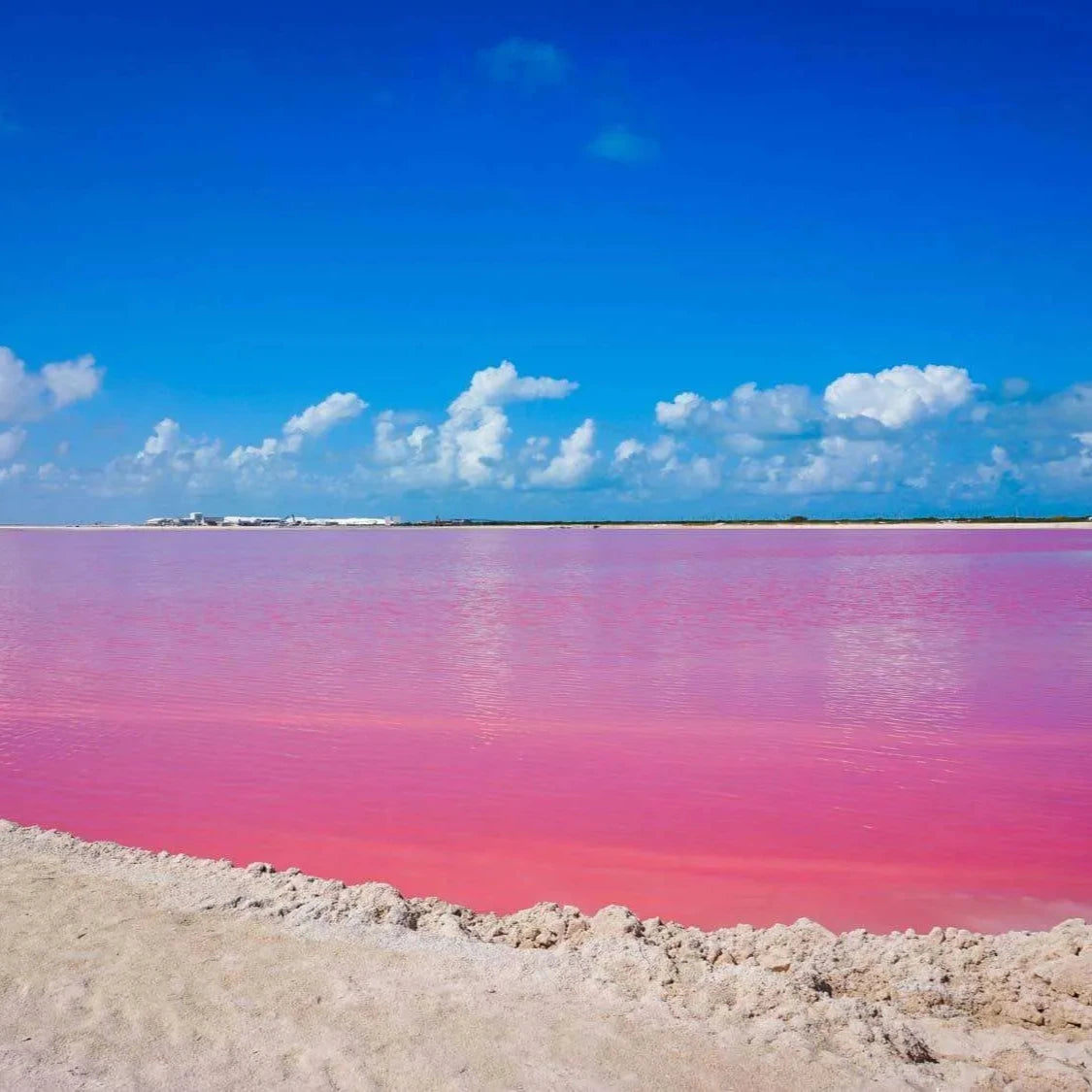 Tour 1 Las Coloradas