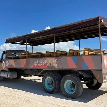 Las Coloradas Safari Tour