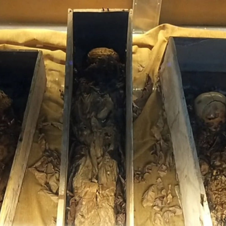 Mummies of Santa Elena
