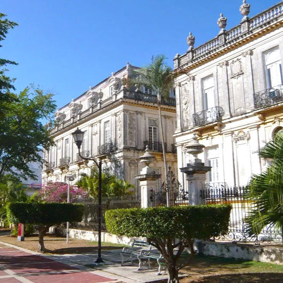Walking tour Paseo Montejo