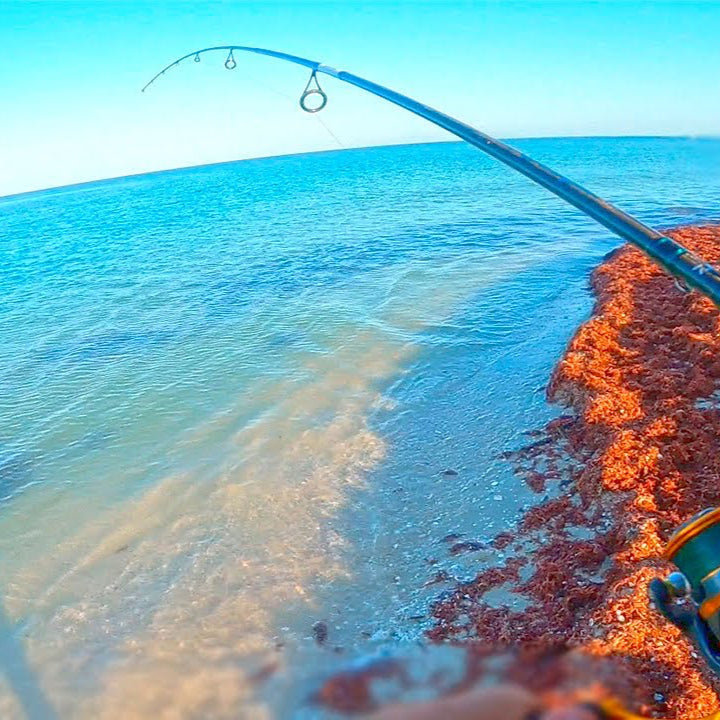Fishing in Chuburná River