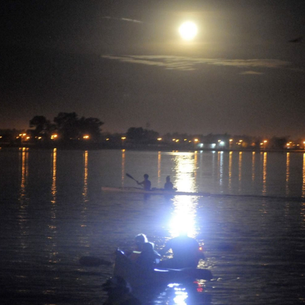 Rowing under the moon