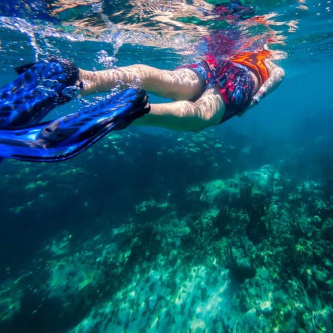 Snorkeling in San Felipe and Bonita Beach