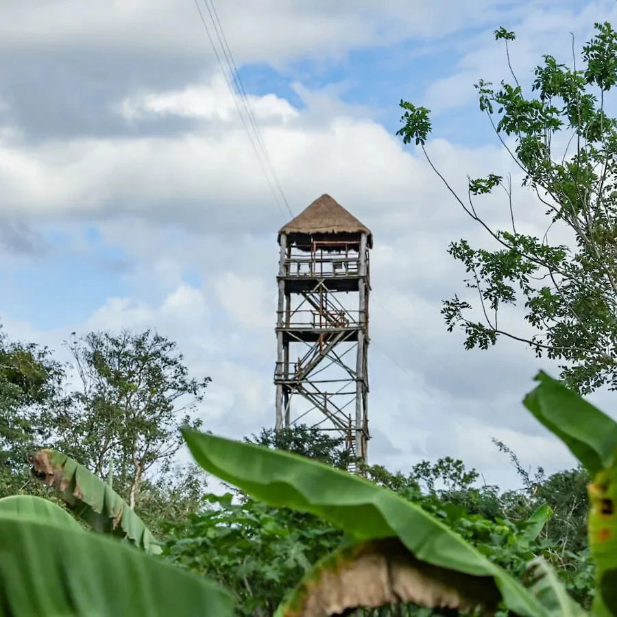 Ziplines with Mayan women